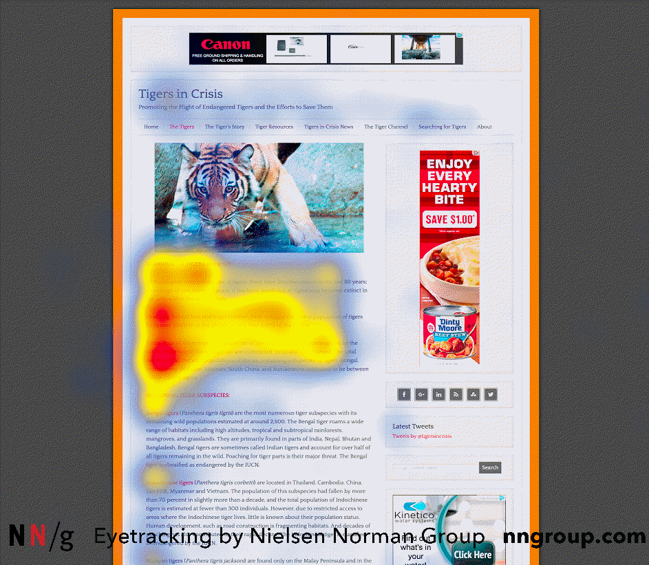 Як читають в інтернеті: свіже дослідження Nielsen Norman group